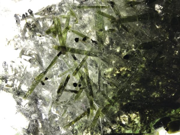 sehr große, sehr seltene klare Bergkristall-Kugel mit vielen eingewachsenen klaren grünen Turmalinen