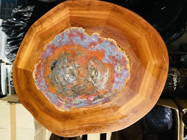 rare unique petrified wooden table with petrified araucaria set in cherry wood