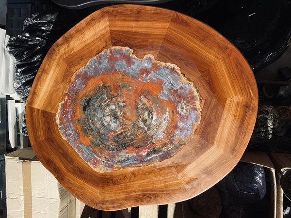 seltener Unikat versteinerter-Holztisch mit versteinerter Araucarie in Kirschbaumholz gefasst