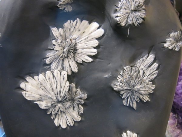 Chrysanthemenstein aus China