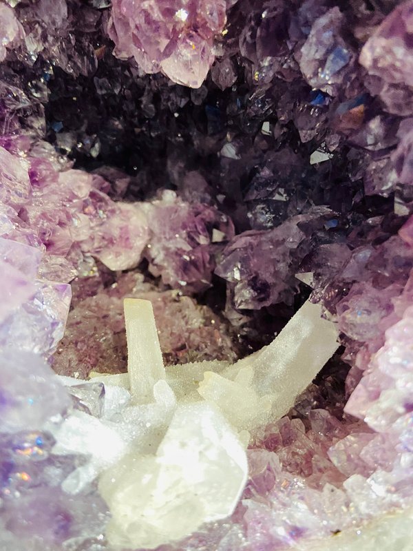 selten schöne Amethystdruse mit vielen Bergkristall überzuckerten Seerosen ähnlichen Kalzitblüten