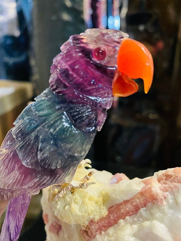 Fluorite parrot on pink tourmaline quartz