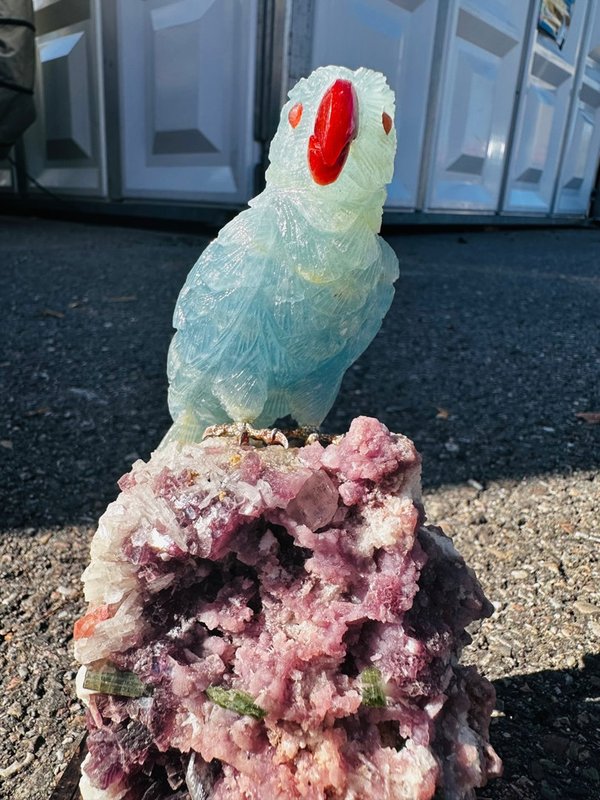Aquamarine parrot on tourmaline