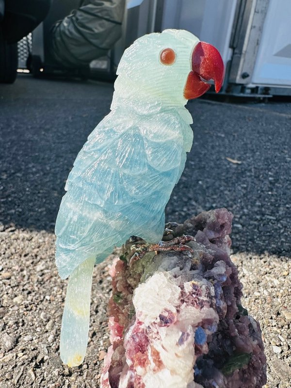 Aquamarine parrot on tourmaline