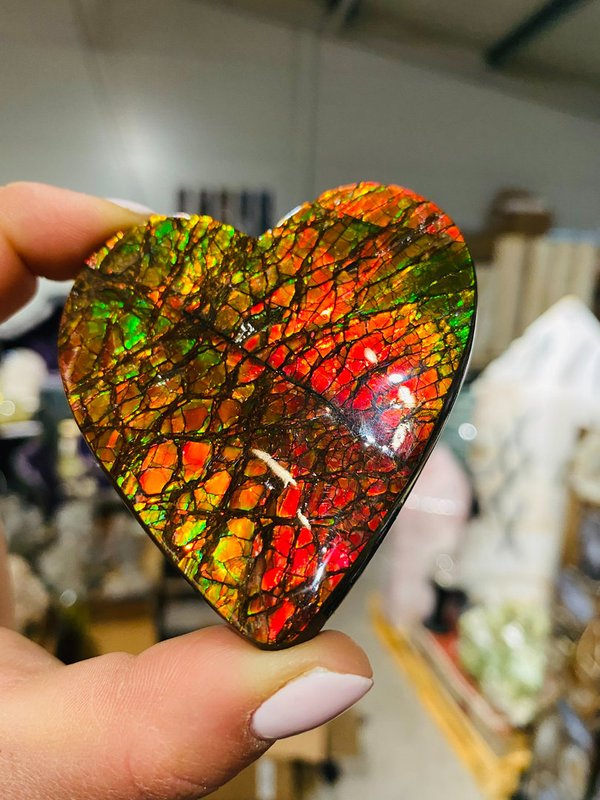 Tolles Rot / Grünes opalisierendes Herz - Ammolite Herz