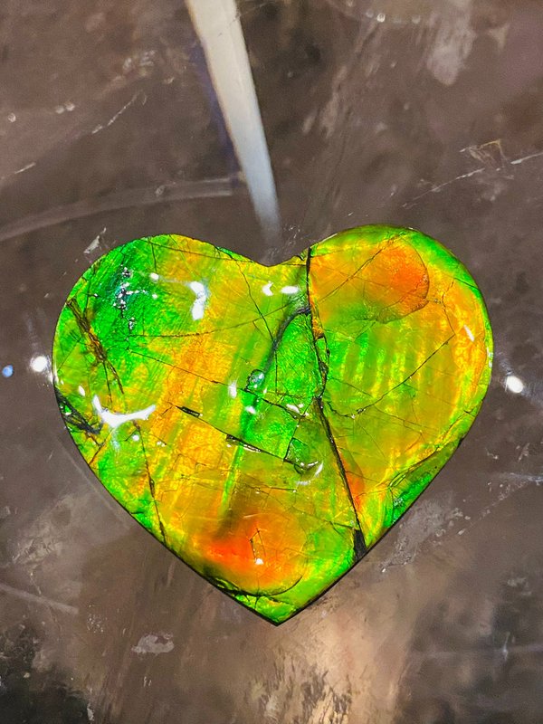 Leuchtendes opalisierendes Herz - Ammolite Herz