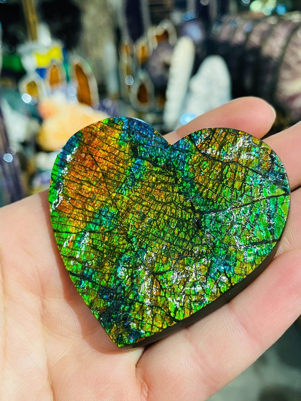 Colorful opalescent heart - Ammolite heart