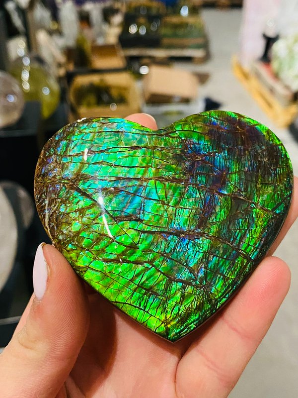 Luminous Opalescent Heart - Ammolite Heart