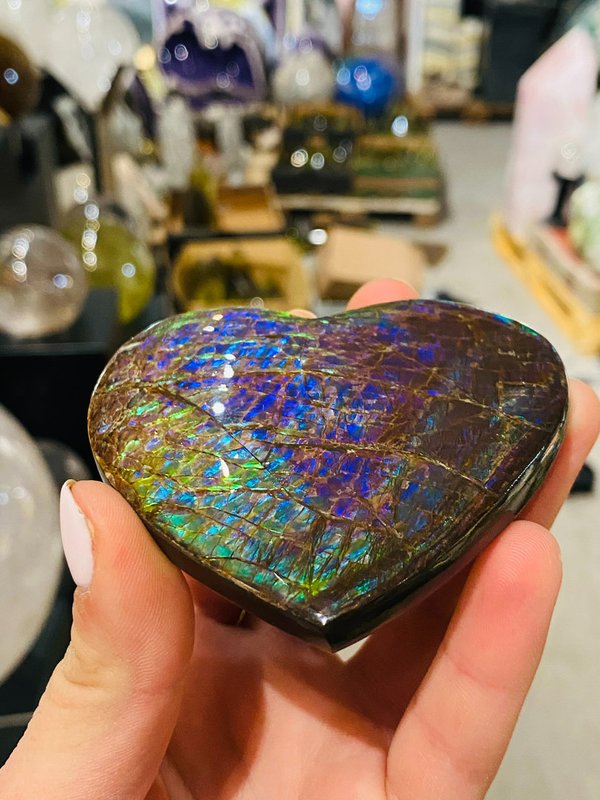 Luminous Opalescent Heart - Ammolite Heart