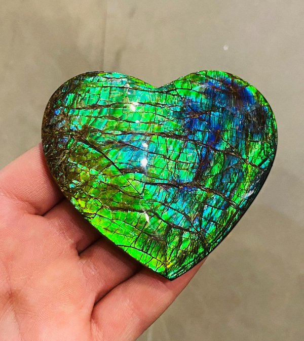 Leuchtendes opalisierendes Herz - Ammolite Herz