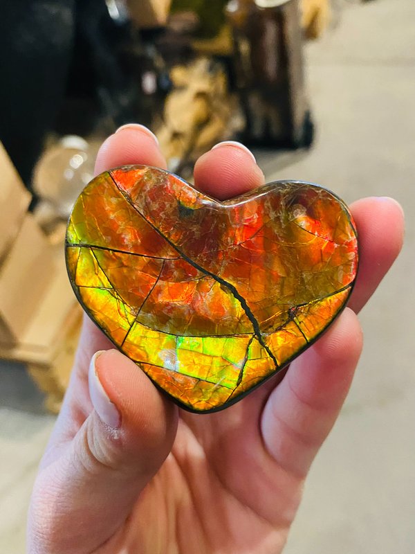 Unique opalescent heart - Ammolite heart