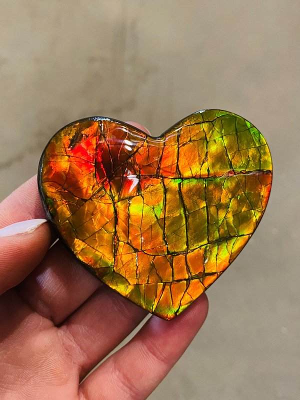 Schönes opalisierendes Herz - Ammolite Herz