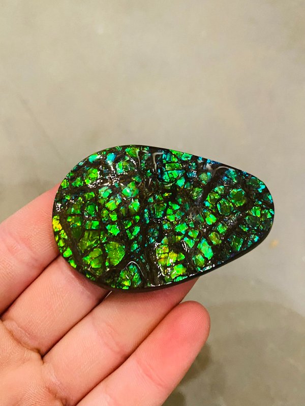 Green ammolite