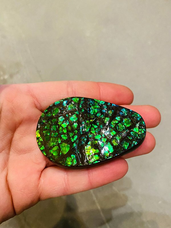 Green ammolite